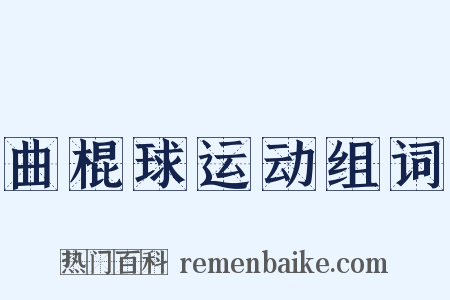 曲棍球运动组词是什么意思的图片